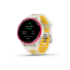 Garmin Forerunner 570